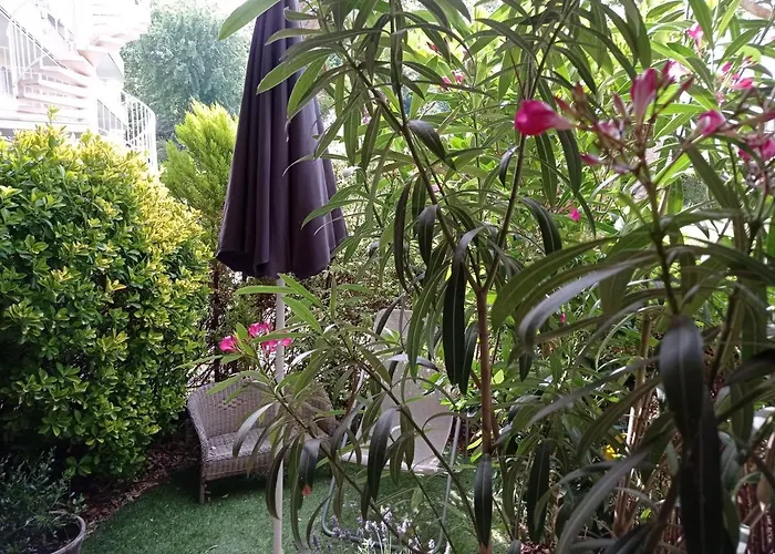 Homestay B&B La Bruyere Chez L\'Habitant